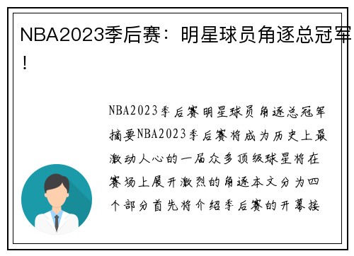 NBA2023季后赛：明星球员角逐总冠军！